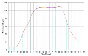 Figure 2. Thermal History of a Steam Treated Part